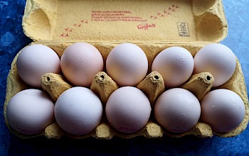 Sprawdzanie świeżości jaj – metody i zasady