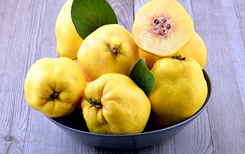 Pigwa (owoce)