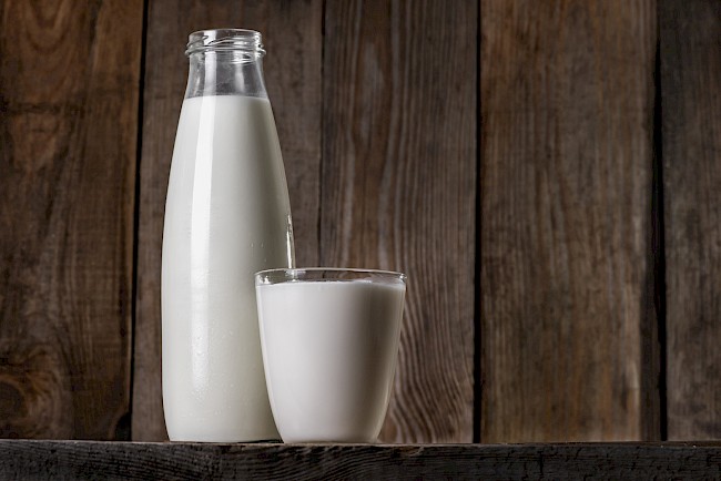 Mleko owcze - kalorie, kcal, ile waży