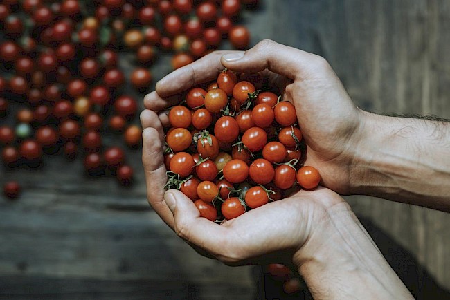 Pomidor koktajlowy - kalorie, kcal, ile waży